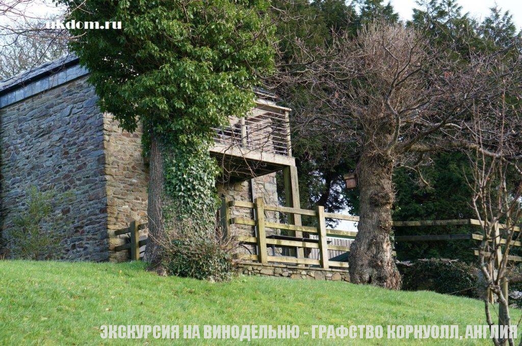 Графство Корнуолл Винодельни и виноградники