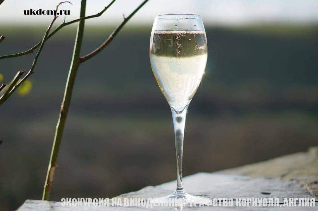 Экскурсия на винодельню Camel Valley Vineyard