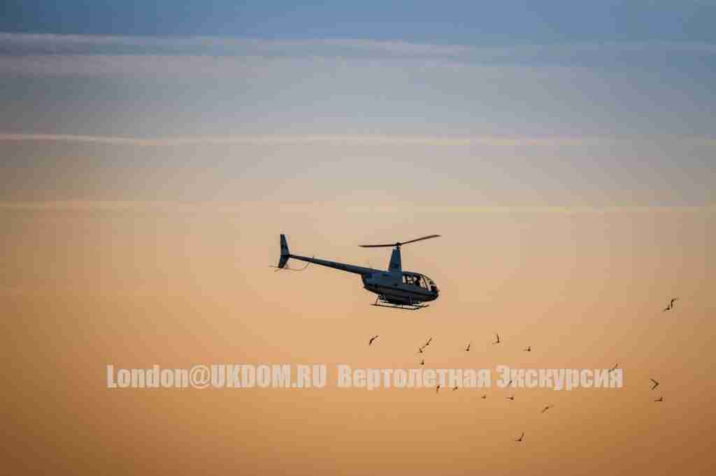 Вместимость: В R66 может комфортно разместиться пять человек - один пилот и четыре пассажира.