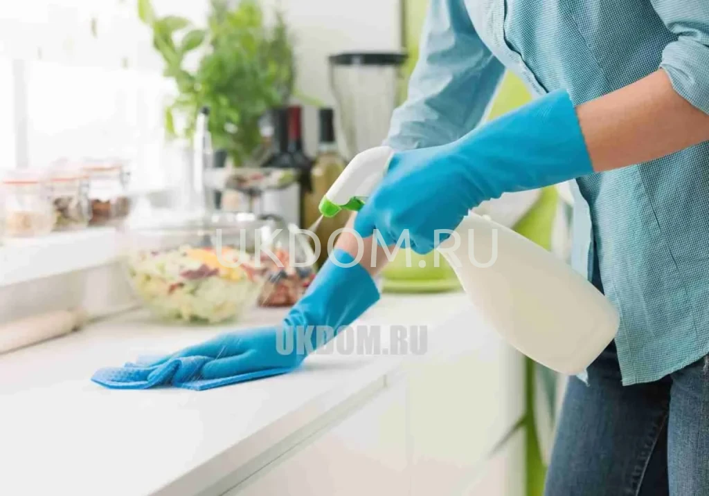 House, Flat & Apartment Cleaning in Central London